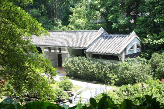 丛林建筑风景