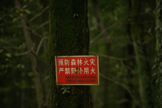 森林防火告示牌