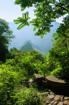 白陉古道