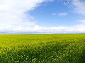 青海湖风光