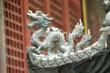 龙