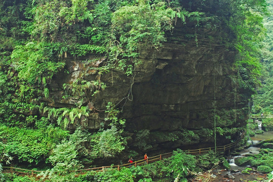 雅安碧峰峡峰帘珠