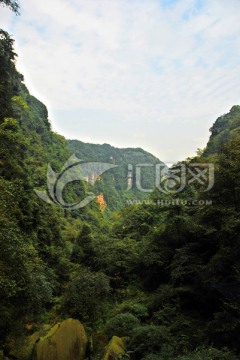 雅安碧峰峡峡谷