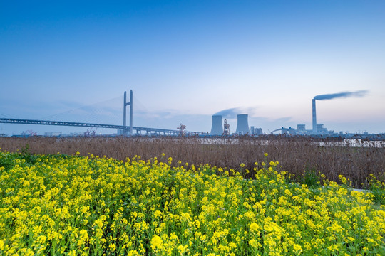 上海闵浦大桥