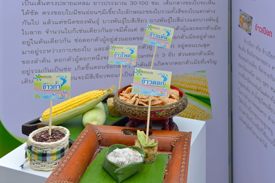 泰国农产品