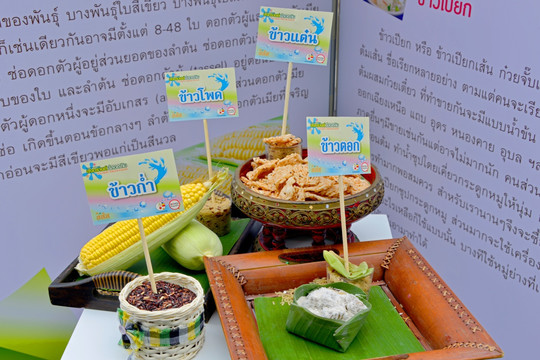 泰国农产品展览