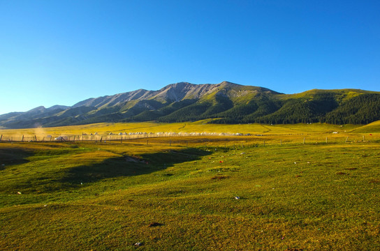 大草原 蒙古包