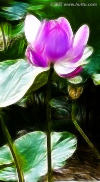 荷花 装饰画 挂画