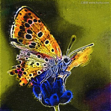 蝴蝶与花儿 装饰画
