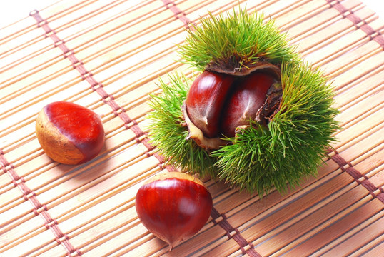 板栗