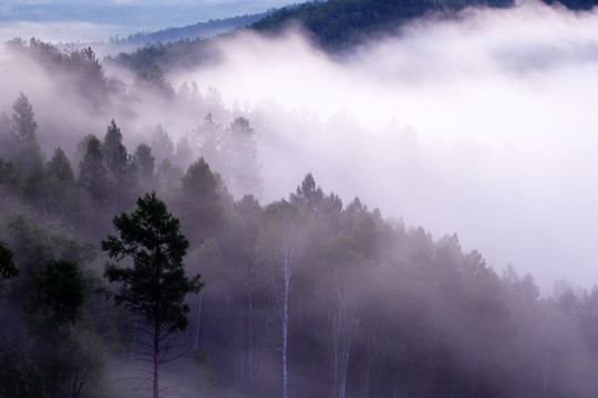 水墨山林