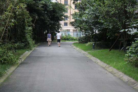 小区道路