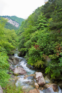 山涧 流水 原生态
