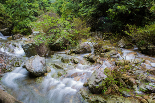山涧 溪流 河水