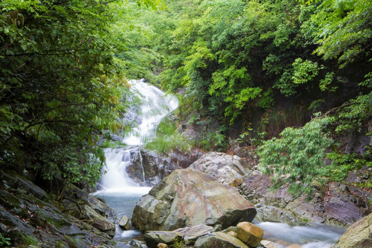 山涧  溪流 丛林