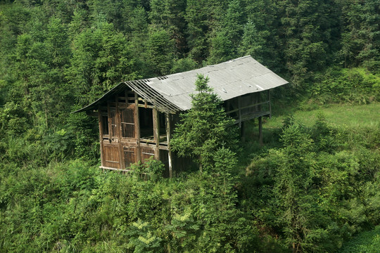 林中木屋