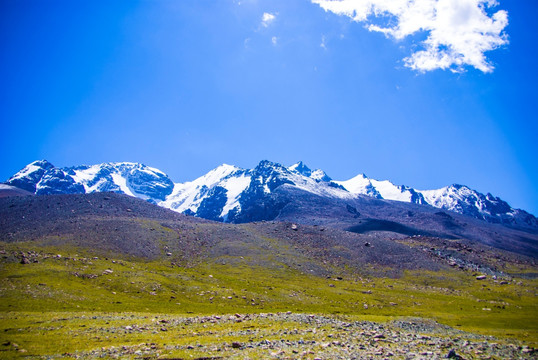 天山 牧场