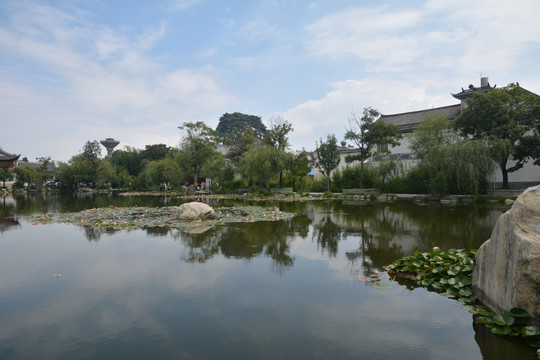 庭院