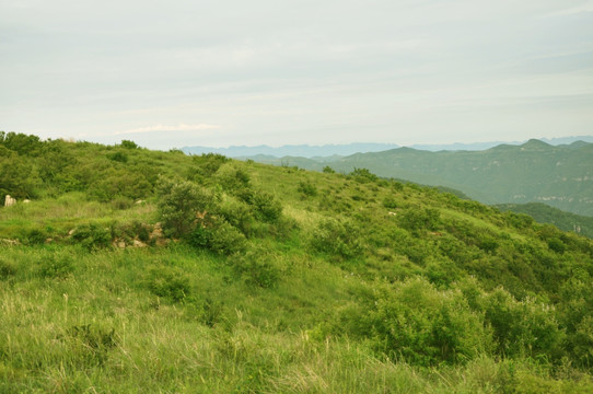 山顶