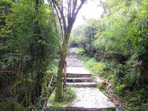 登山步道