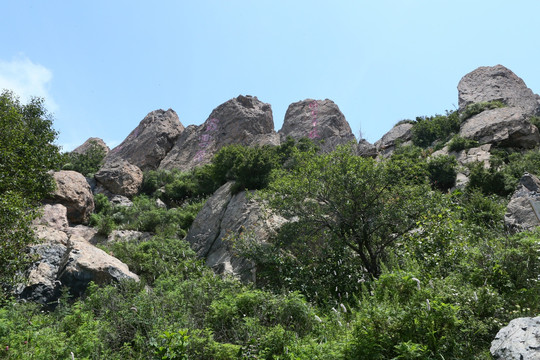 北京白草畔风景区