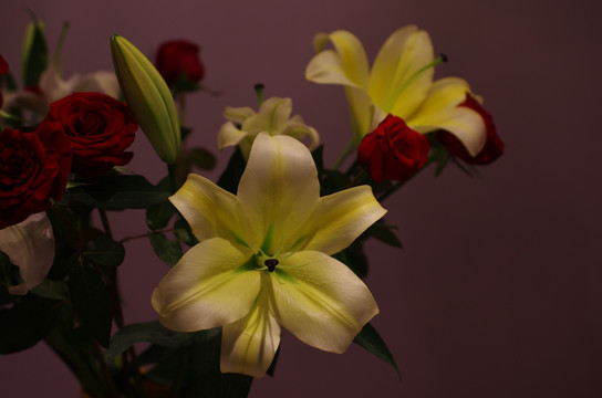 百合