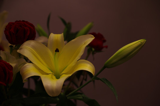 百合