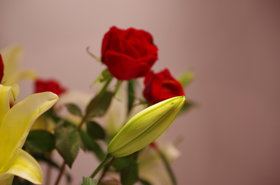 百合