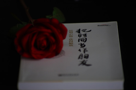 玫瑰