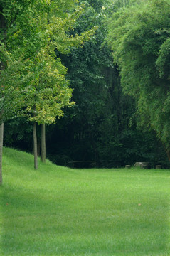 园林绿化 高清摄影