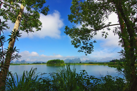 风景