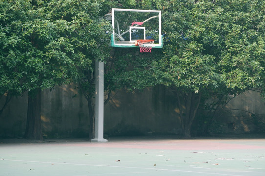 篮球架 高清摄影 校园 青春