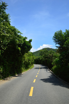 山景区