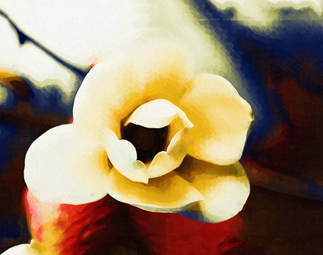油画 装饰画 玉兰花