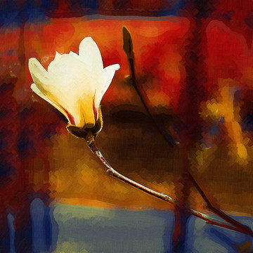 油画 装饰画 玉兰花