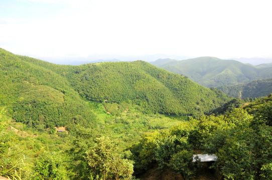 青山 群山