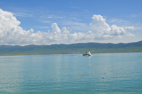 青海湖风光