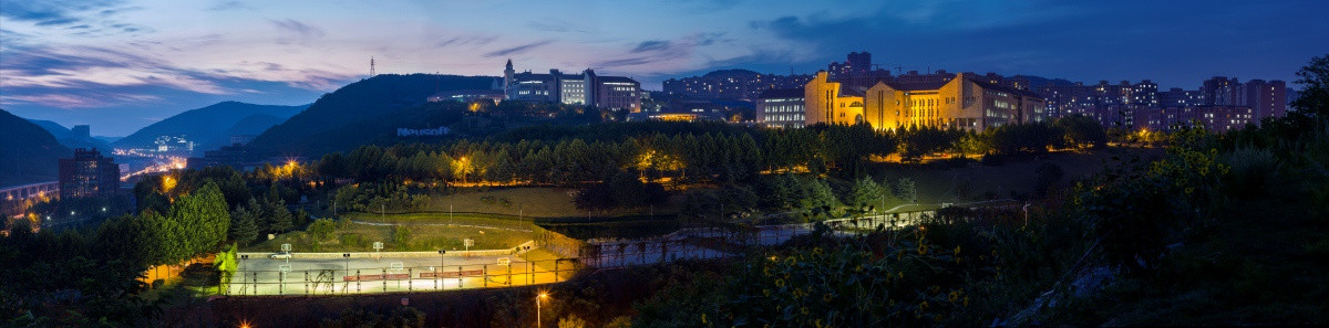 东软学院及北河口全景夜景