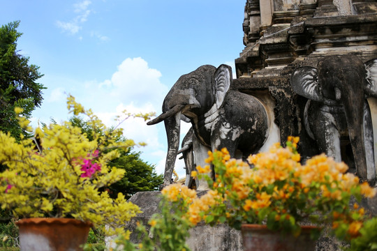 花卉中的大象雕塑