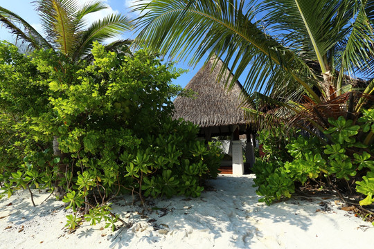 马尔代夫海岛沙屋