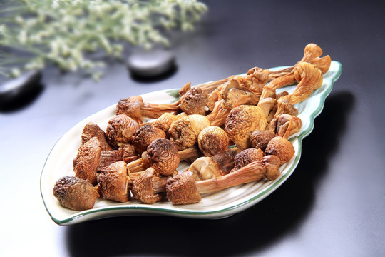 鸡松茸