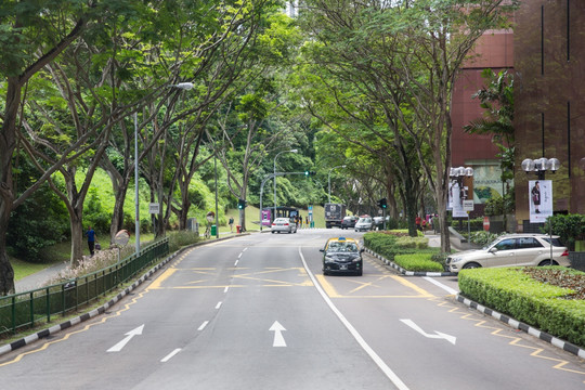 新加坡街道