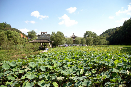李坑入口