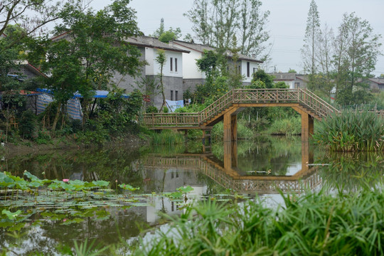 三道堰青杠树村池塘小桥