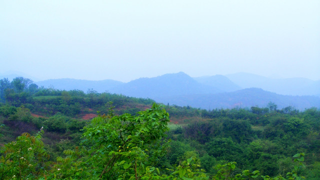 清晨的山