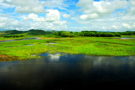 大兴安岭湿地 根河湿地