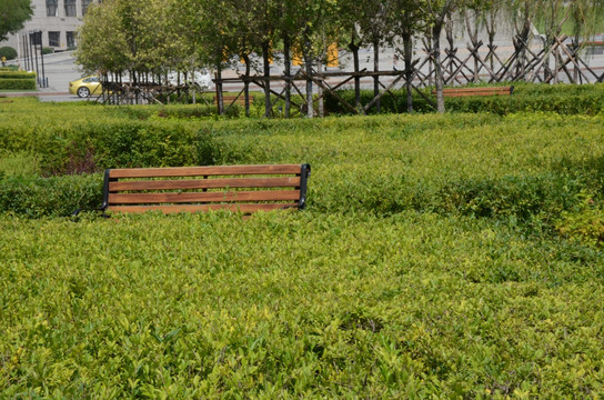 绿地中的长凳jpg高清