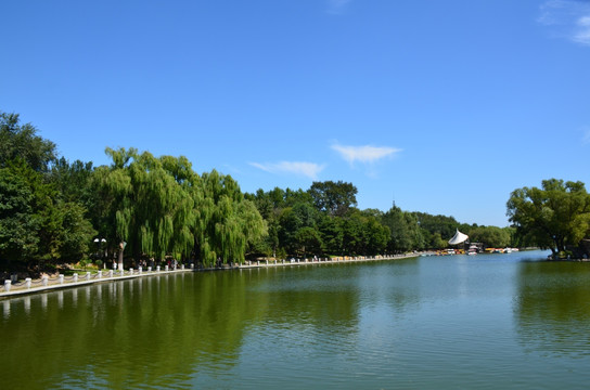 蓝天下的公园湖泊绿树jpg高清