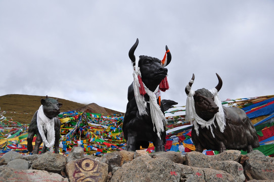 西藏耗牛雕塑
