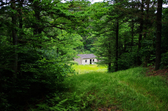 余姚四明山